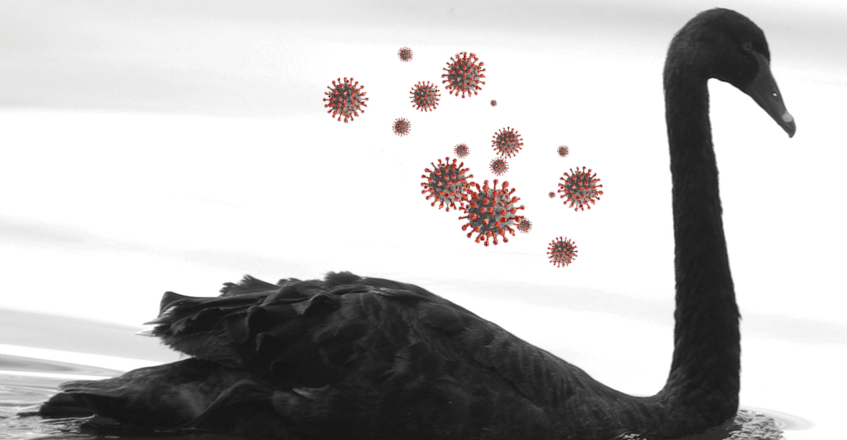 images/News/2020/06/BlackSwan_1000x500.png#joomlaImage://local-images/News/2020/06/BlackSwan_1000x500.png?width=847&height=440